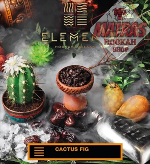 Element 25гр. Cactus Fig Тютюн за Наргиле