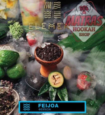 Element 25гр. Feijoa Тютюн за Наргиле